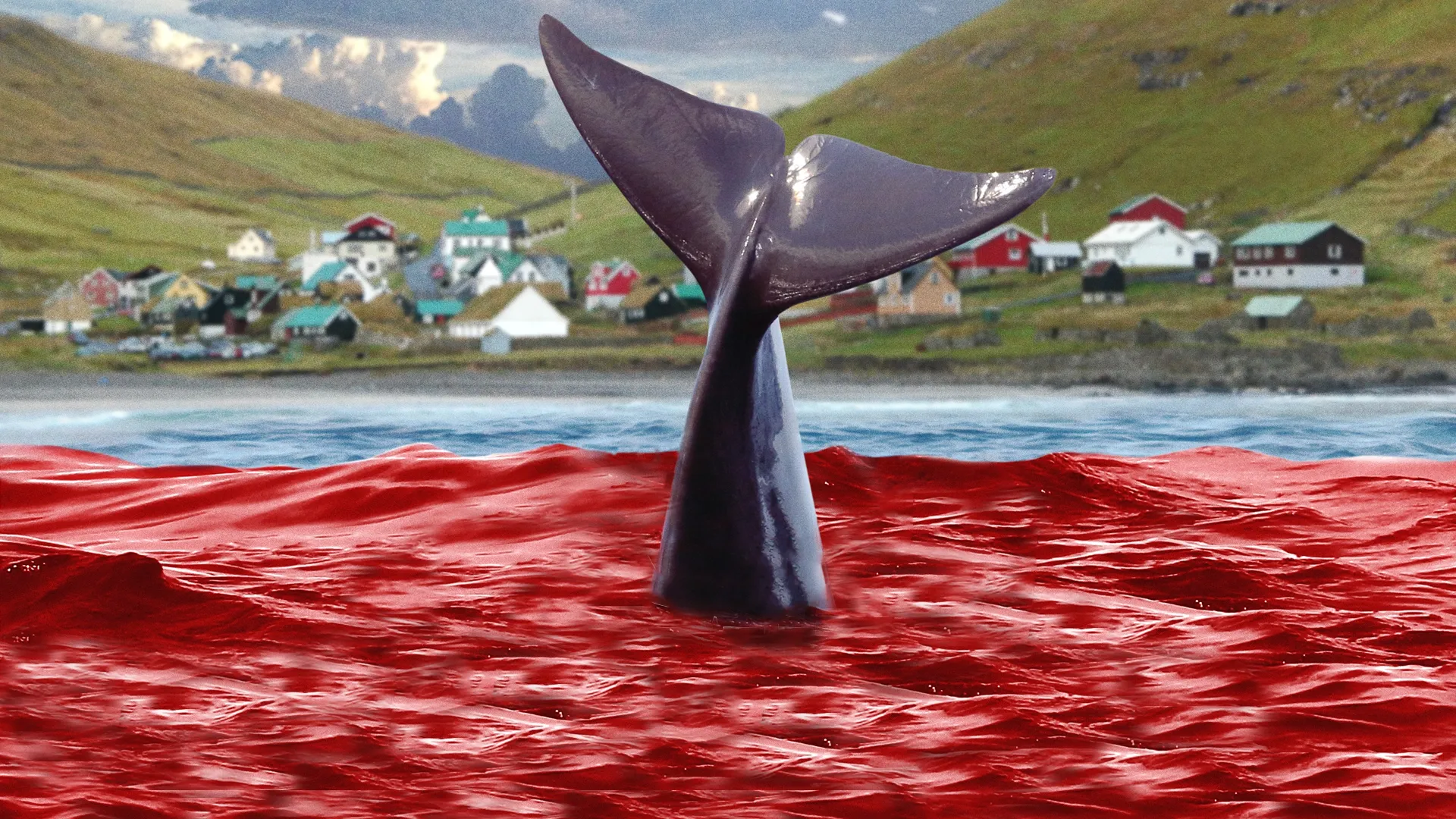 A Taste Of Whale