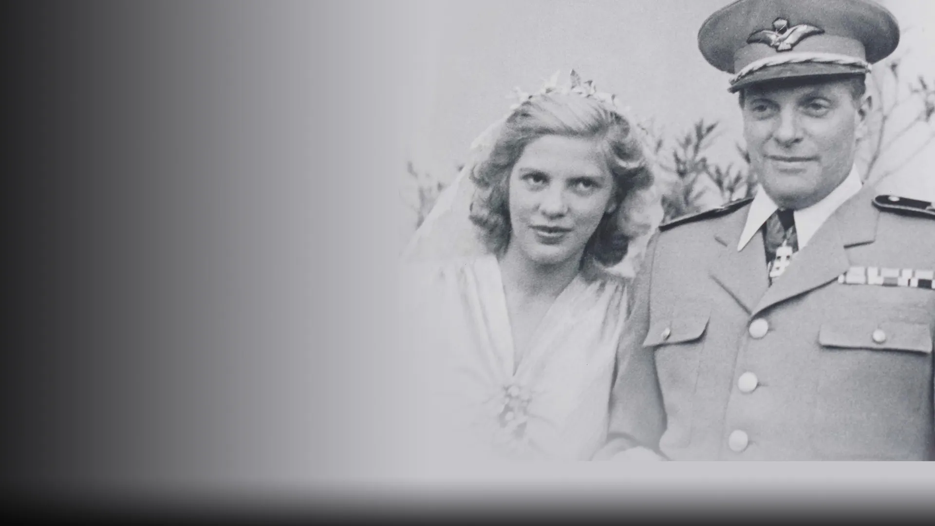 Stella - A History of War