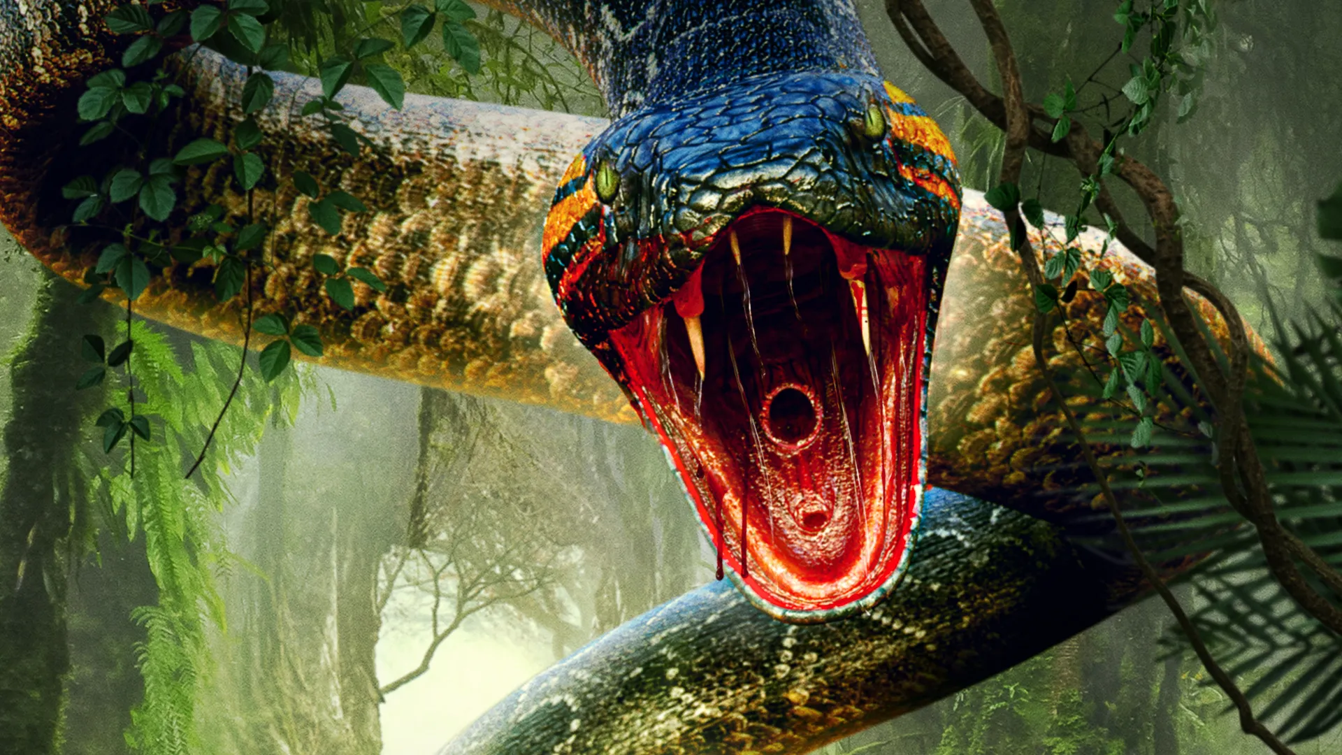 Python Monstro