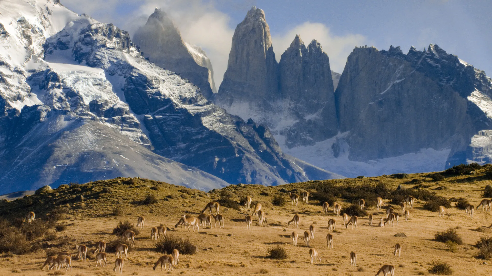 Chile: un viaje salvaje