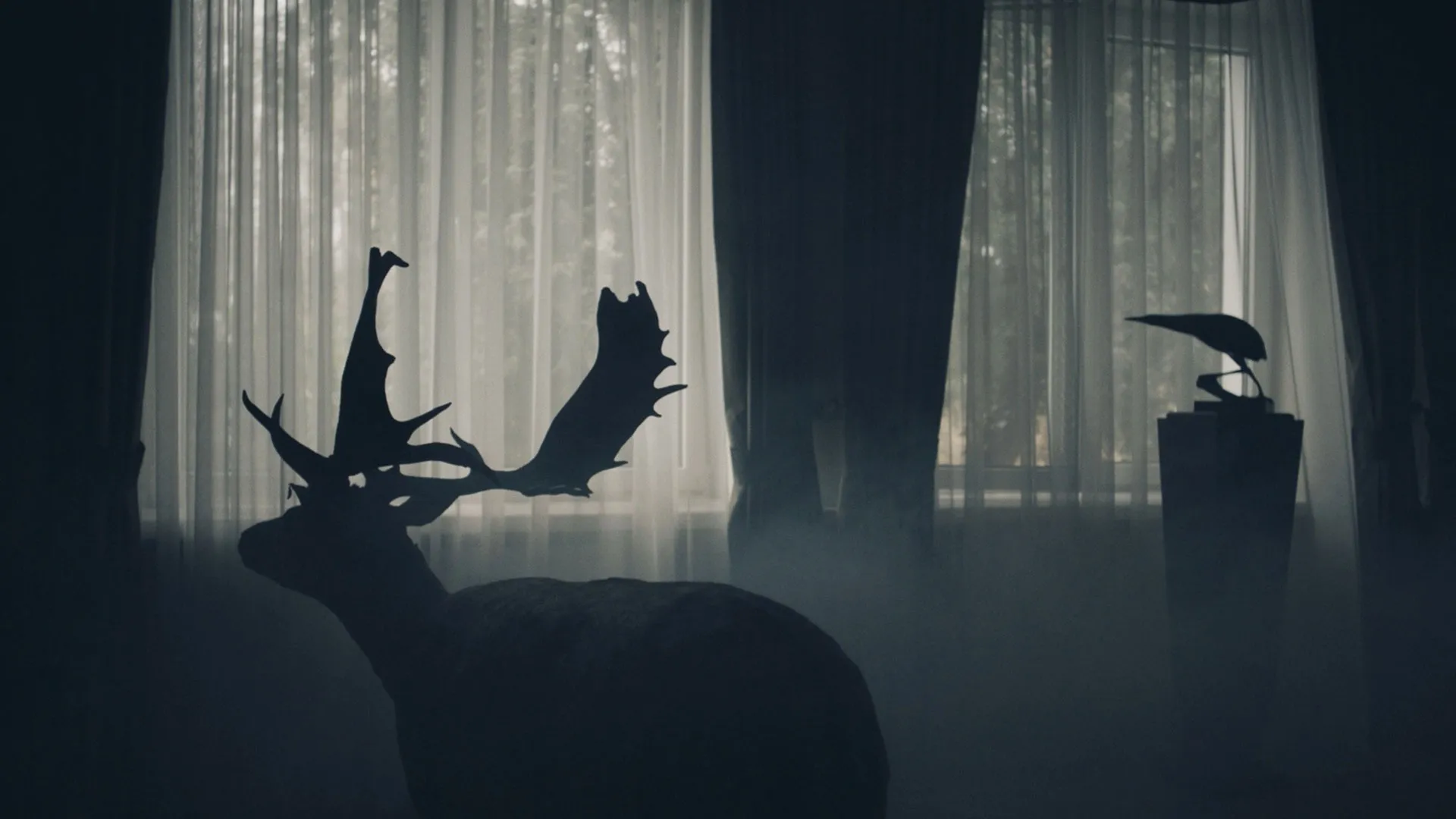 Of Animals and Men