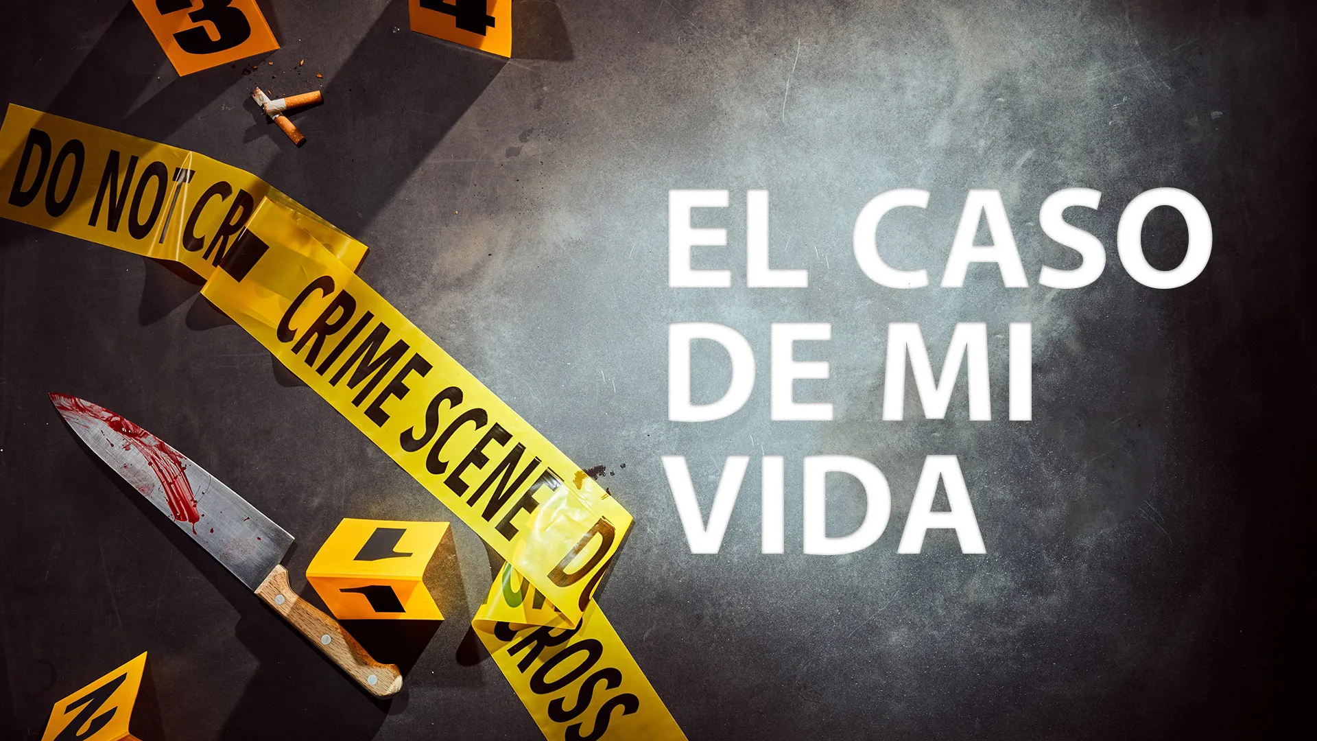 El caso de mi vida