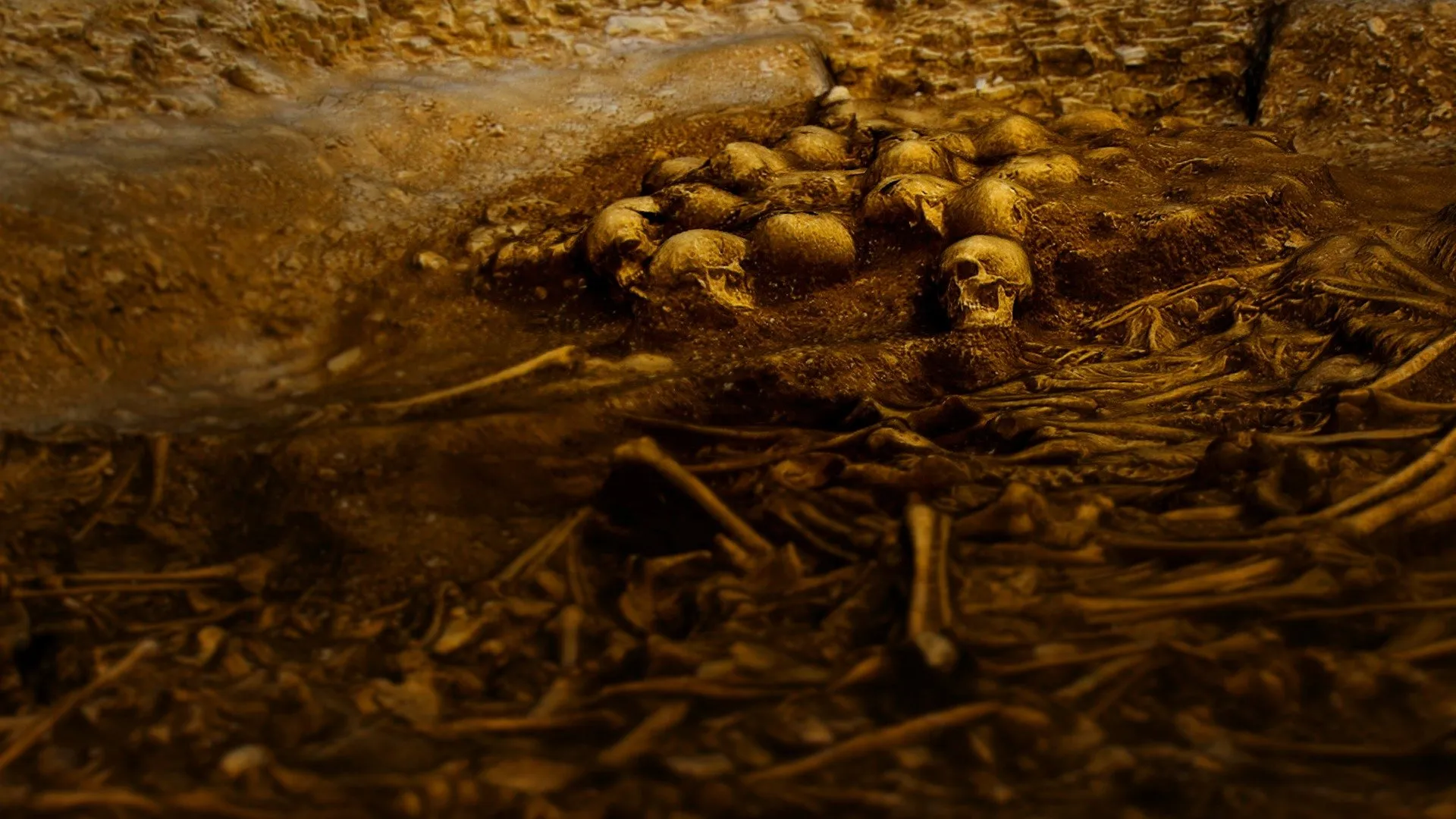 Vikings - The Lost Realm