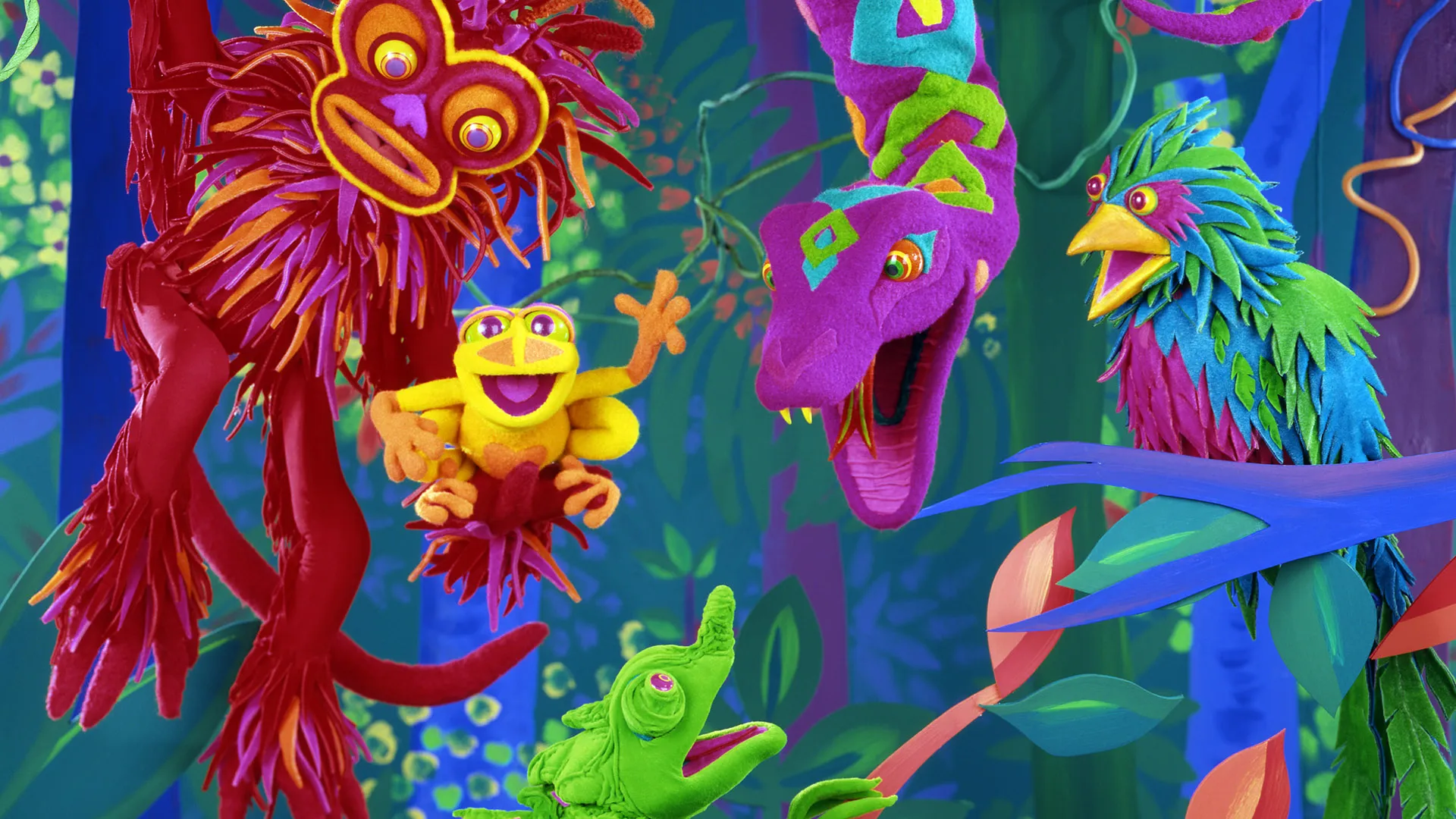 The Song of the Cloud Forest