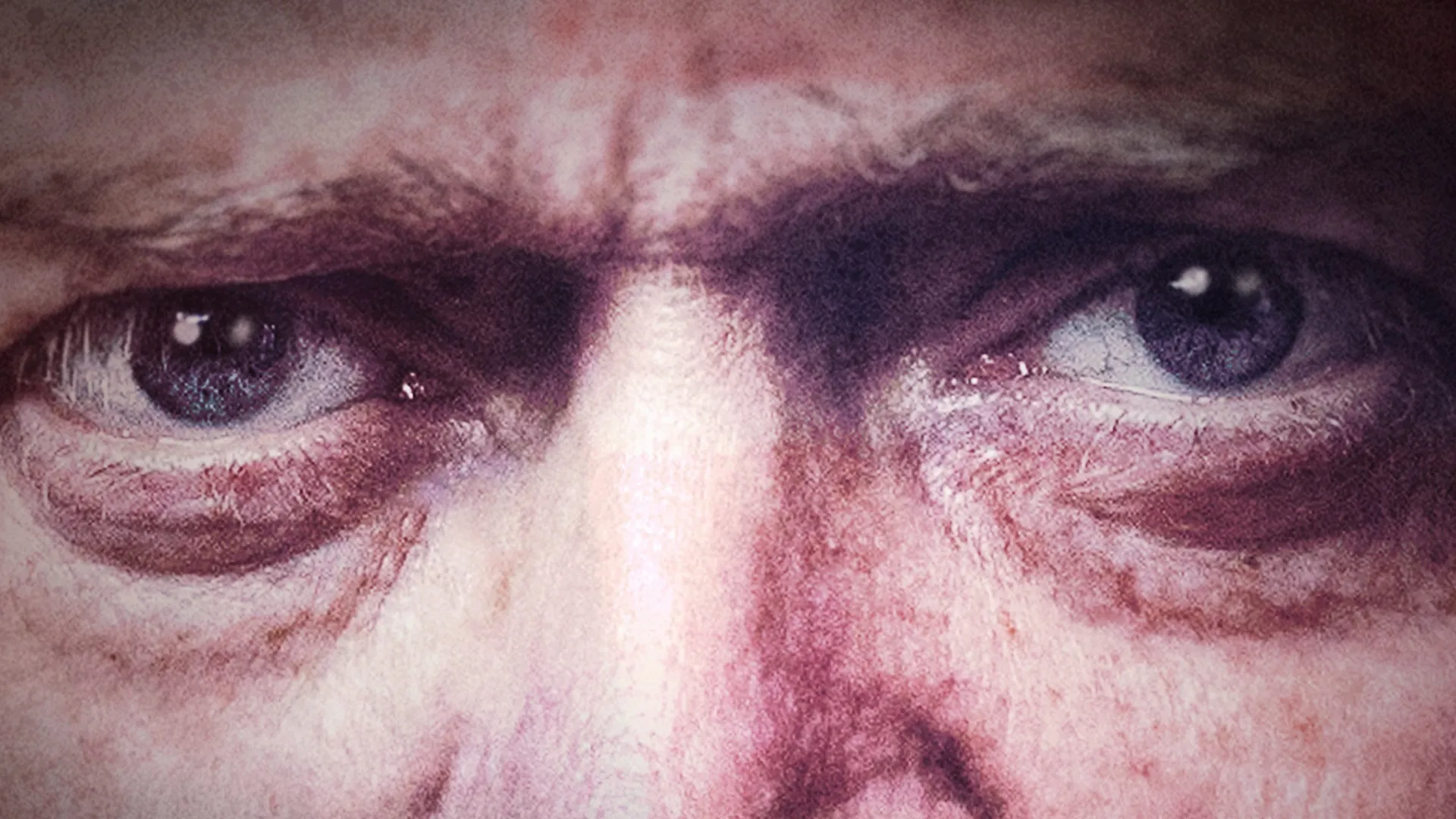 Steve Bannon: Master of Chaos