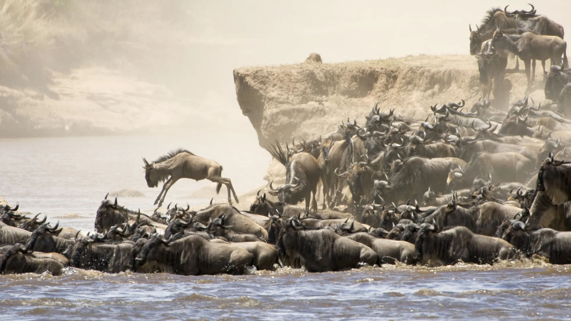 Masai Mara: The Big Hunt