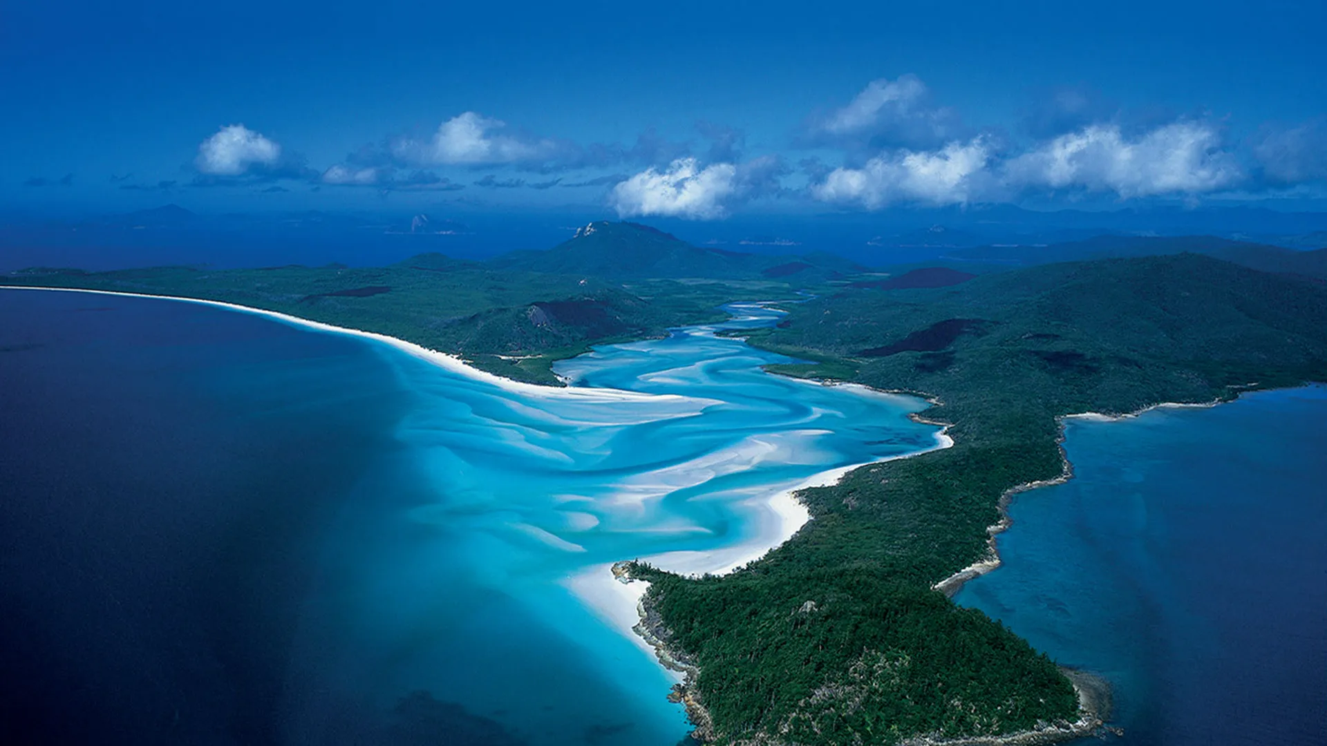 Wild Australasia