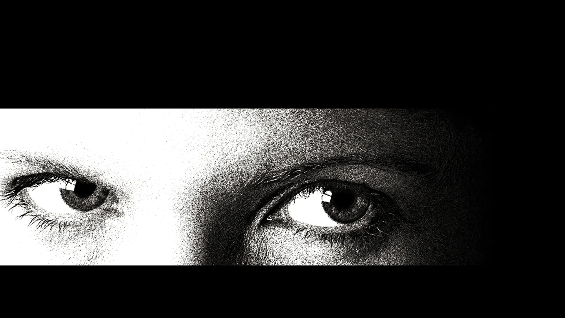 The Contender