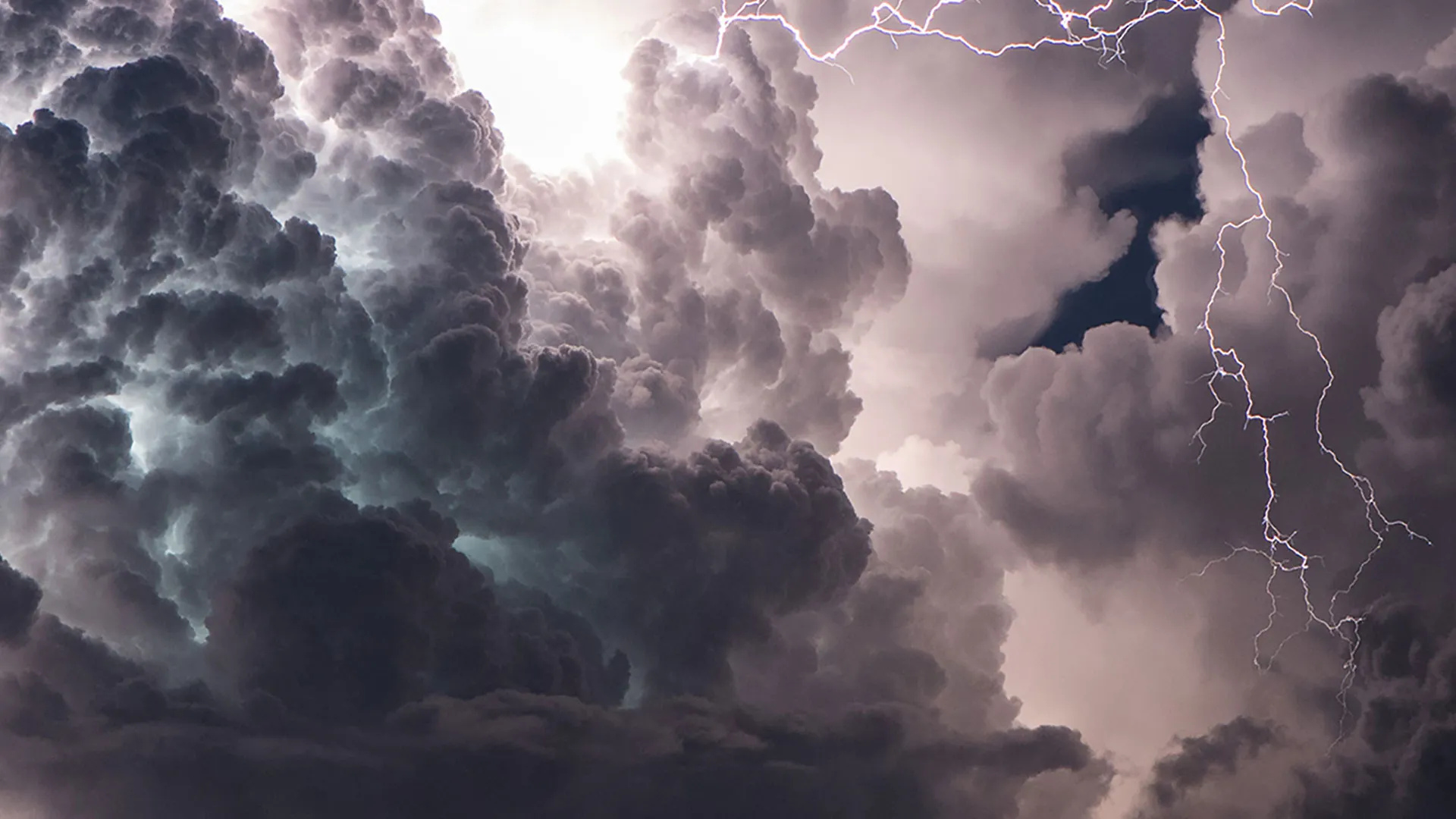 Full Force Nature