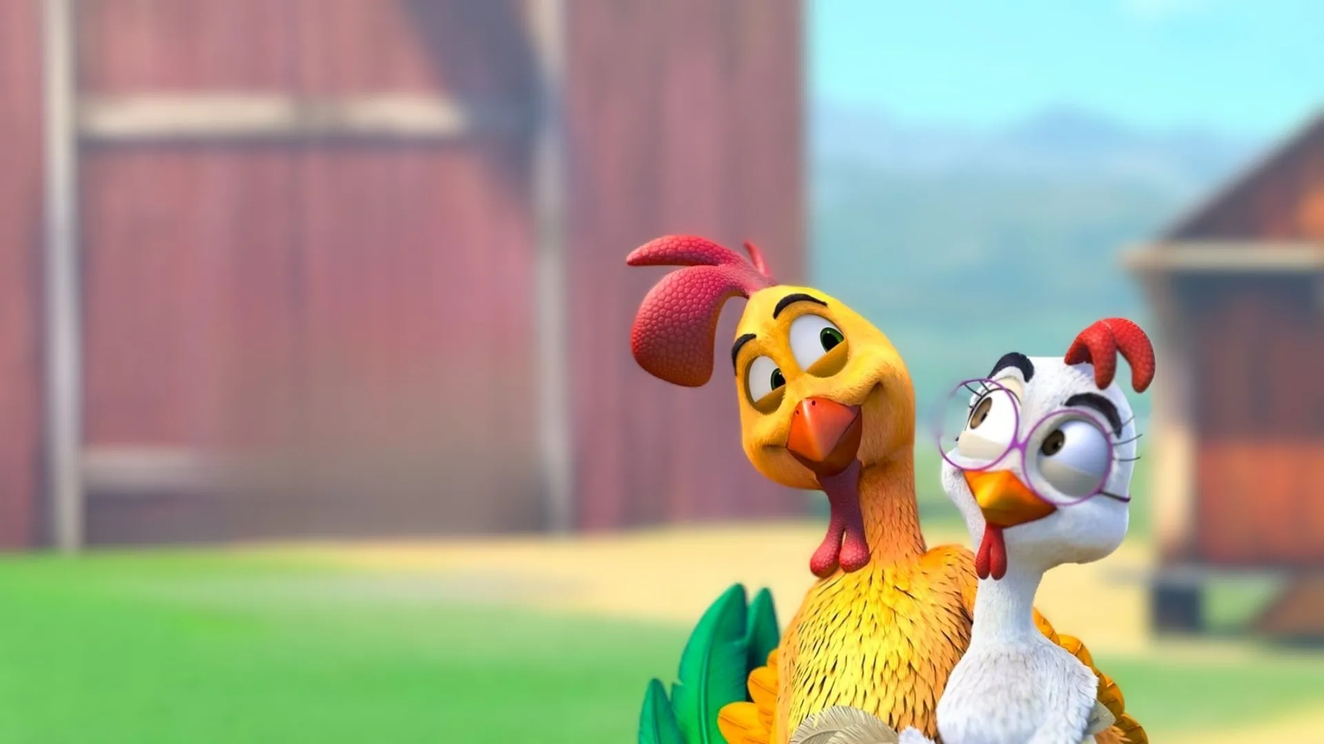Un gallo con muchos huevos