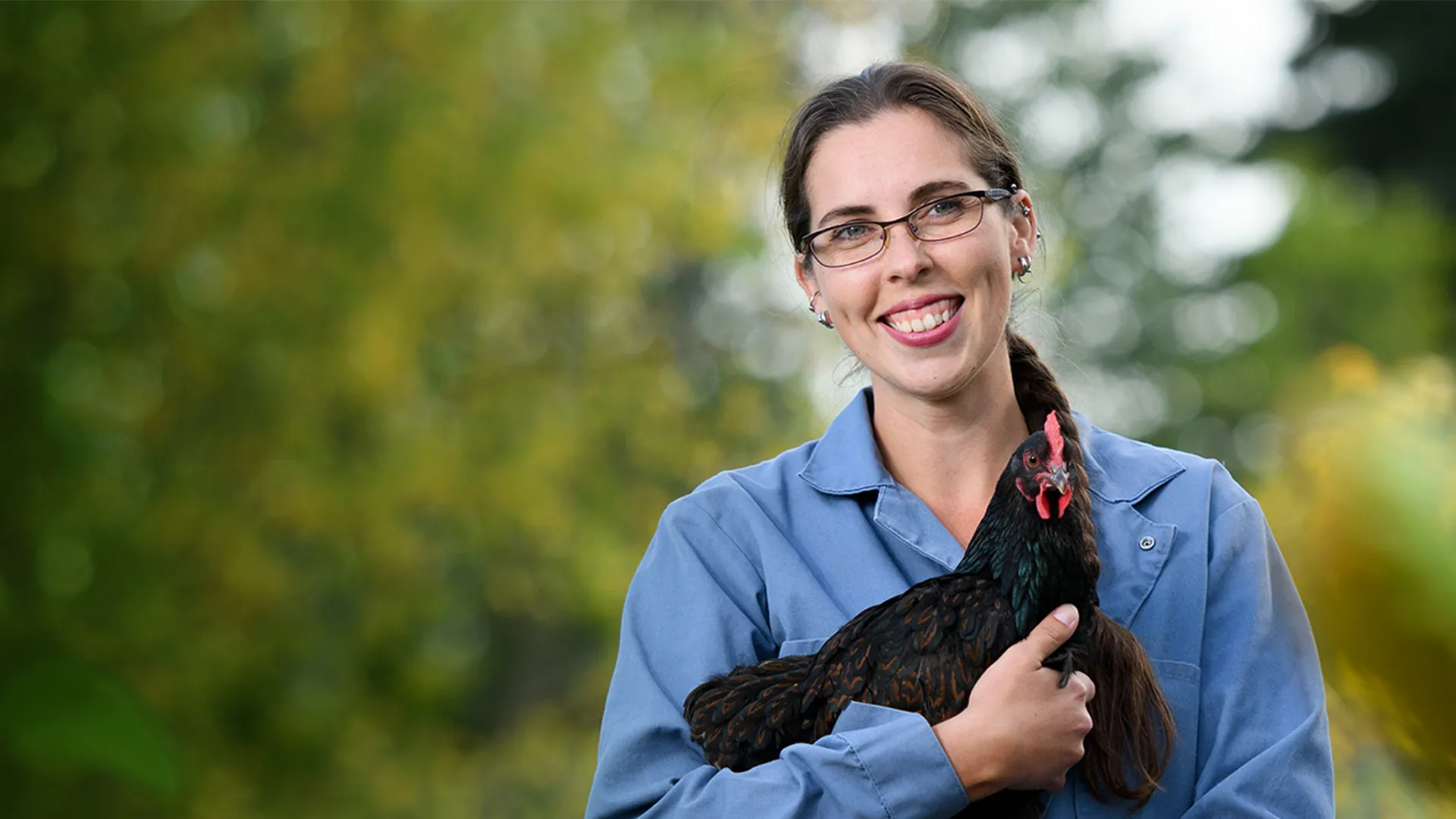 Dr. Savannah: Wild Rose Vet