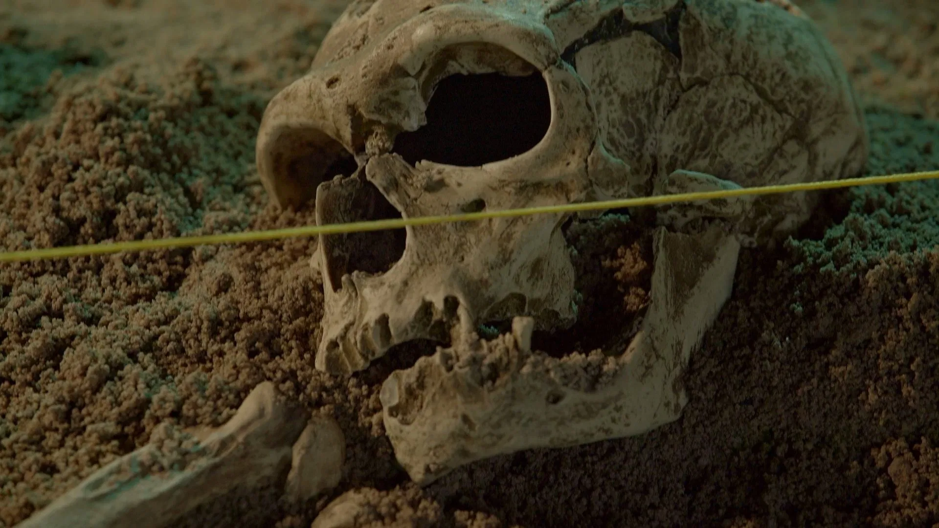 ¿Quién Mató al Neandertal?