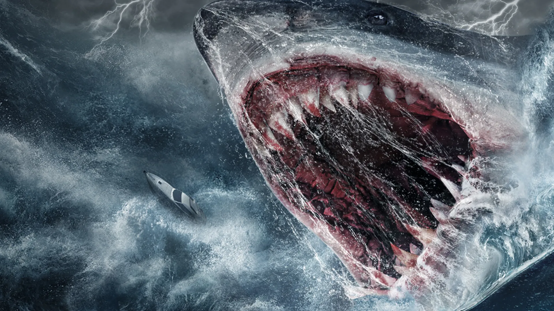 Killer Shark