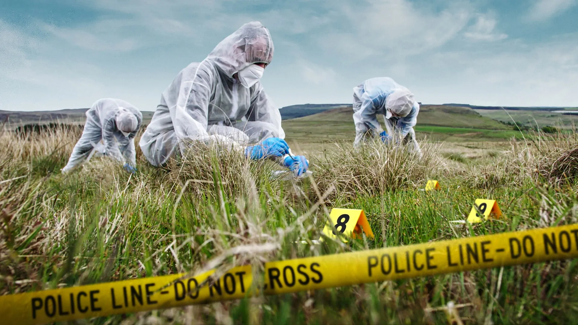 Expert Witness