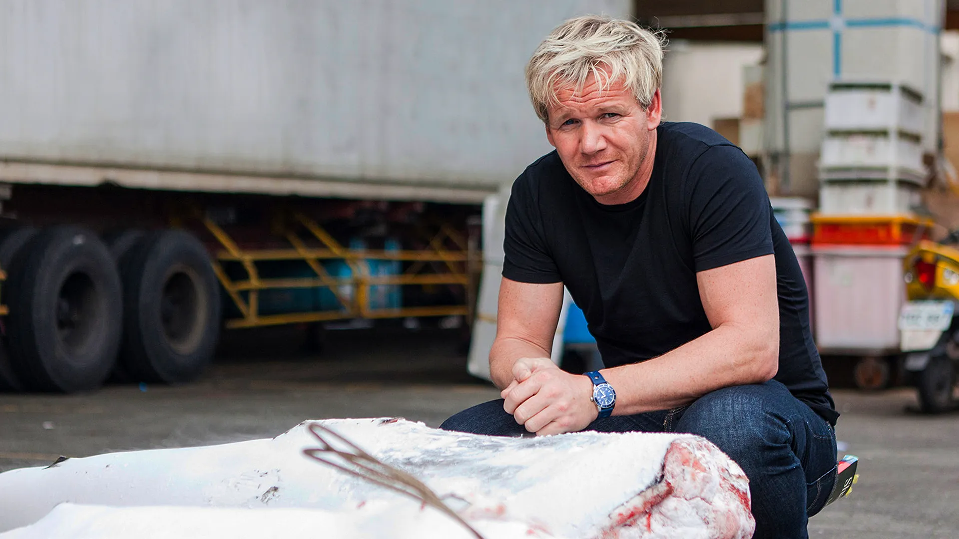 Gordon Ramsay: Shark Bait