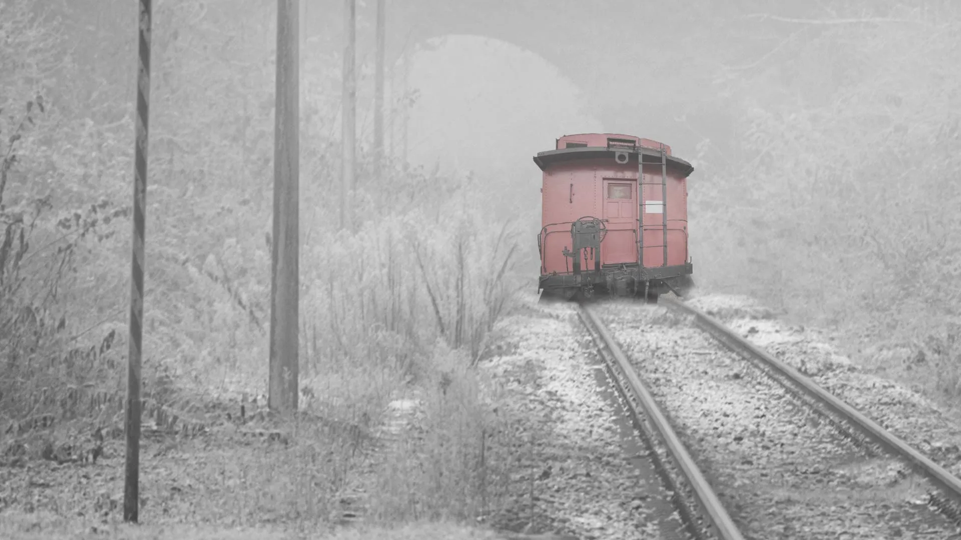 The Death Train