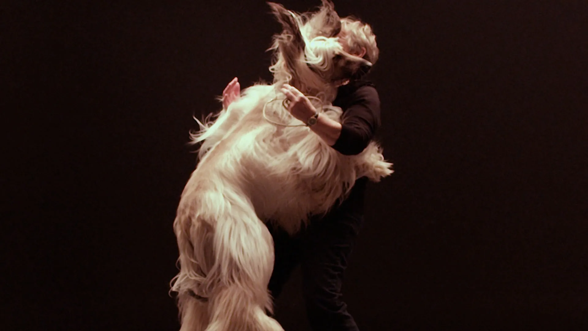 The Secret Life of Dogs