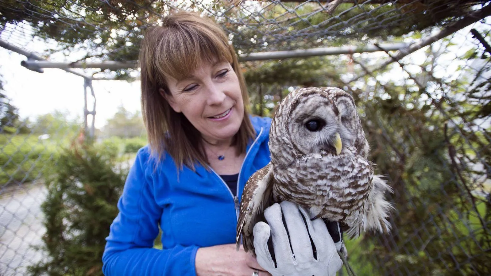Hope for Wildlife