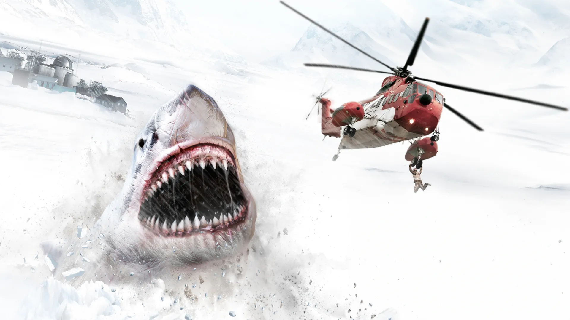 Ice Sharks