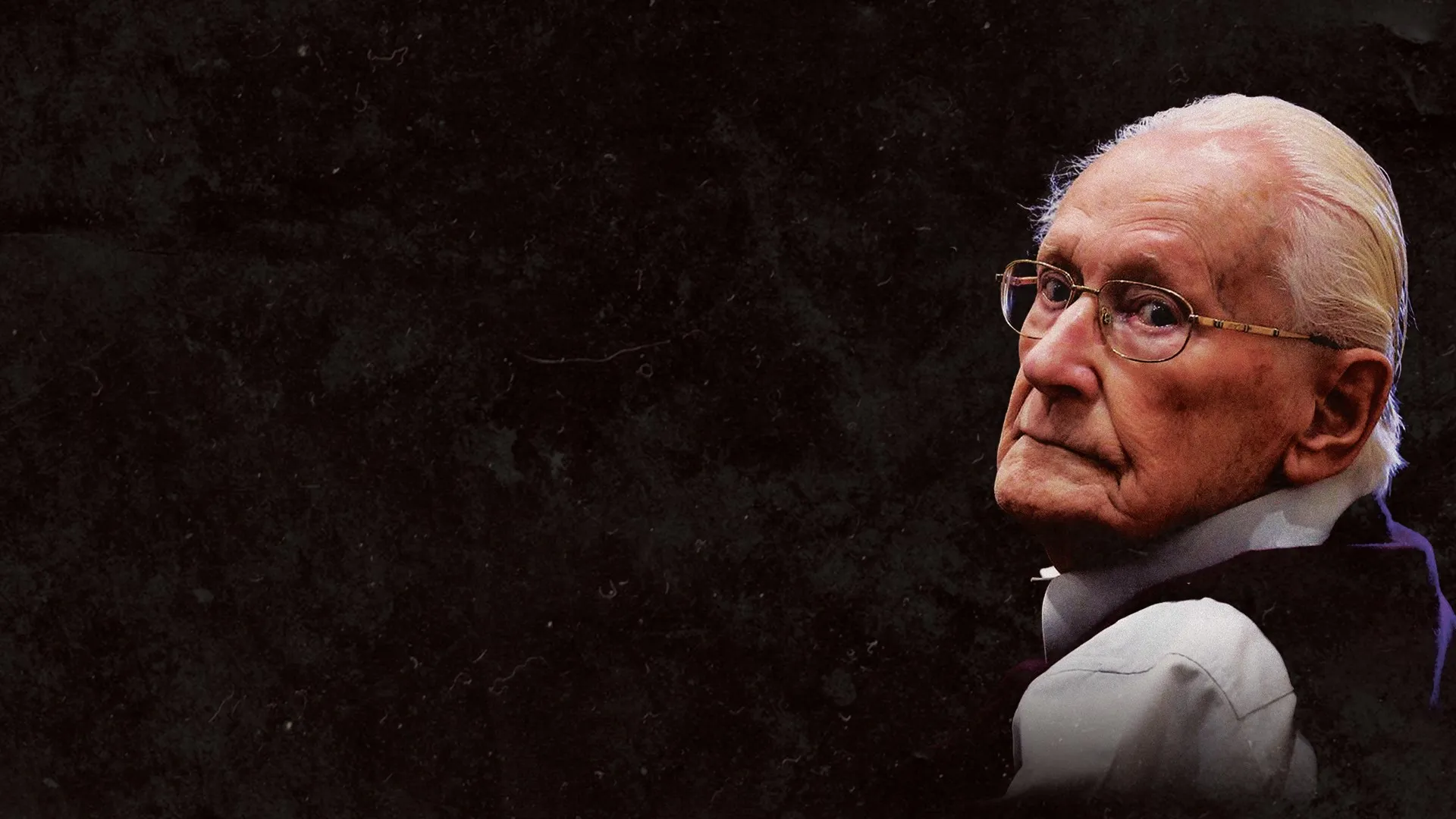 The Accountant of Auschwitz