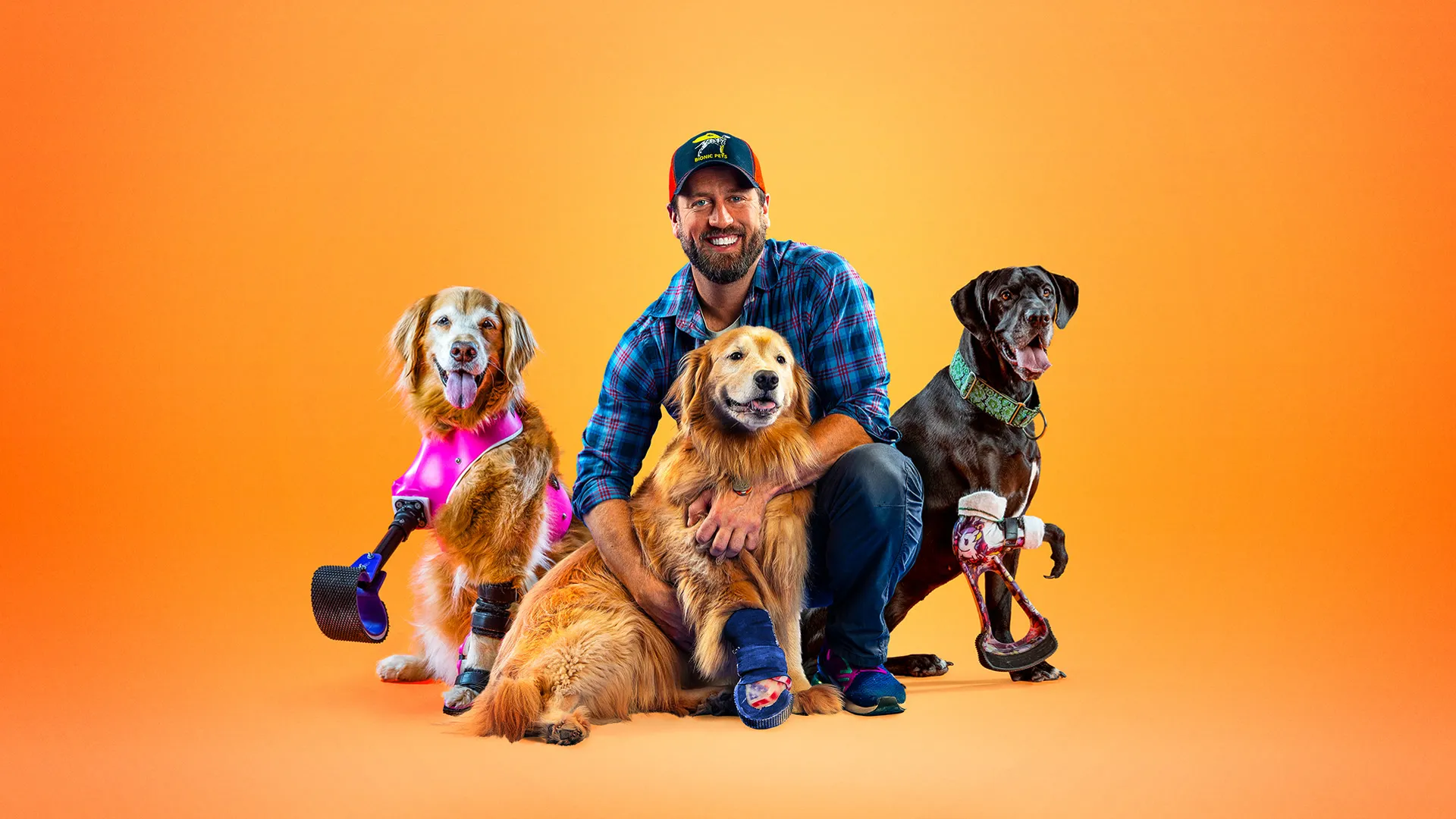 Le Magicien Des Protheses Animales