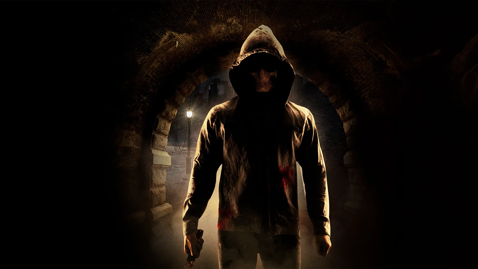 O Assassino do Central Park