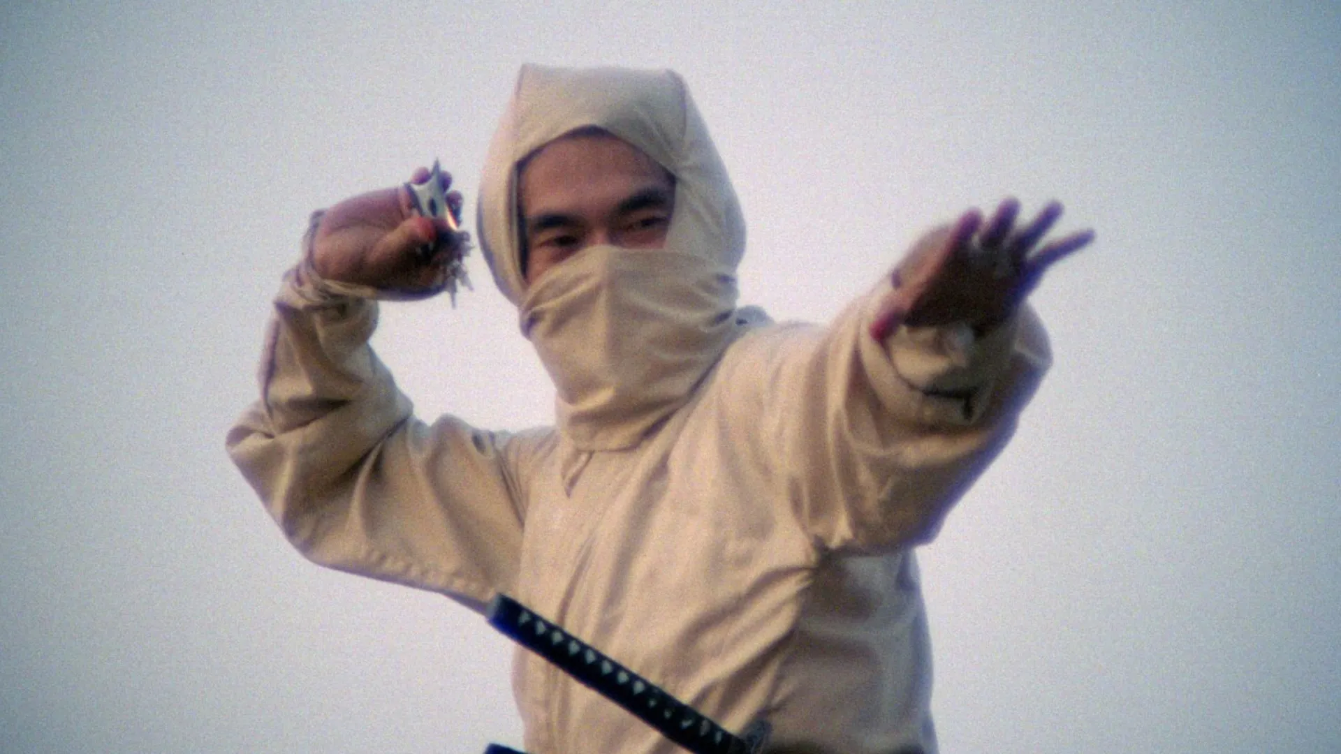 New York Ninja