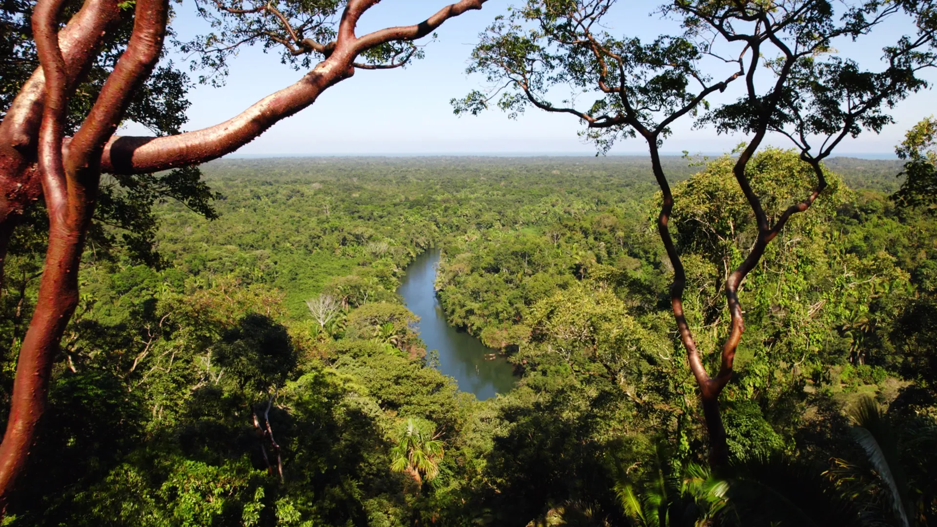 Unknown Belize