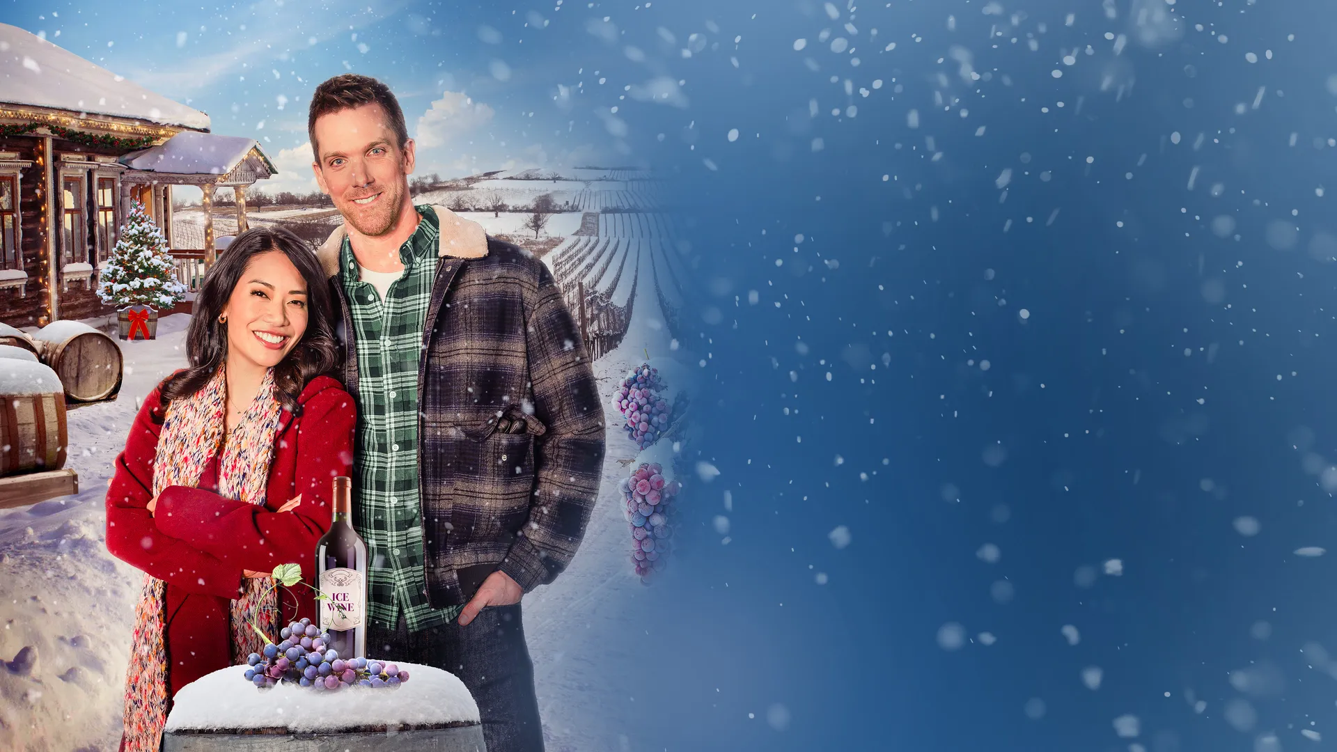 Vineyard Christmas, A