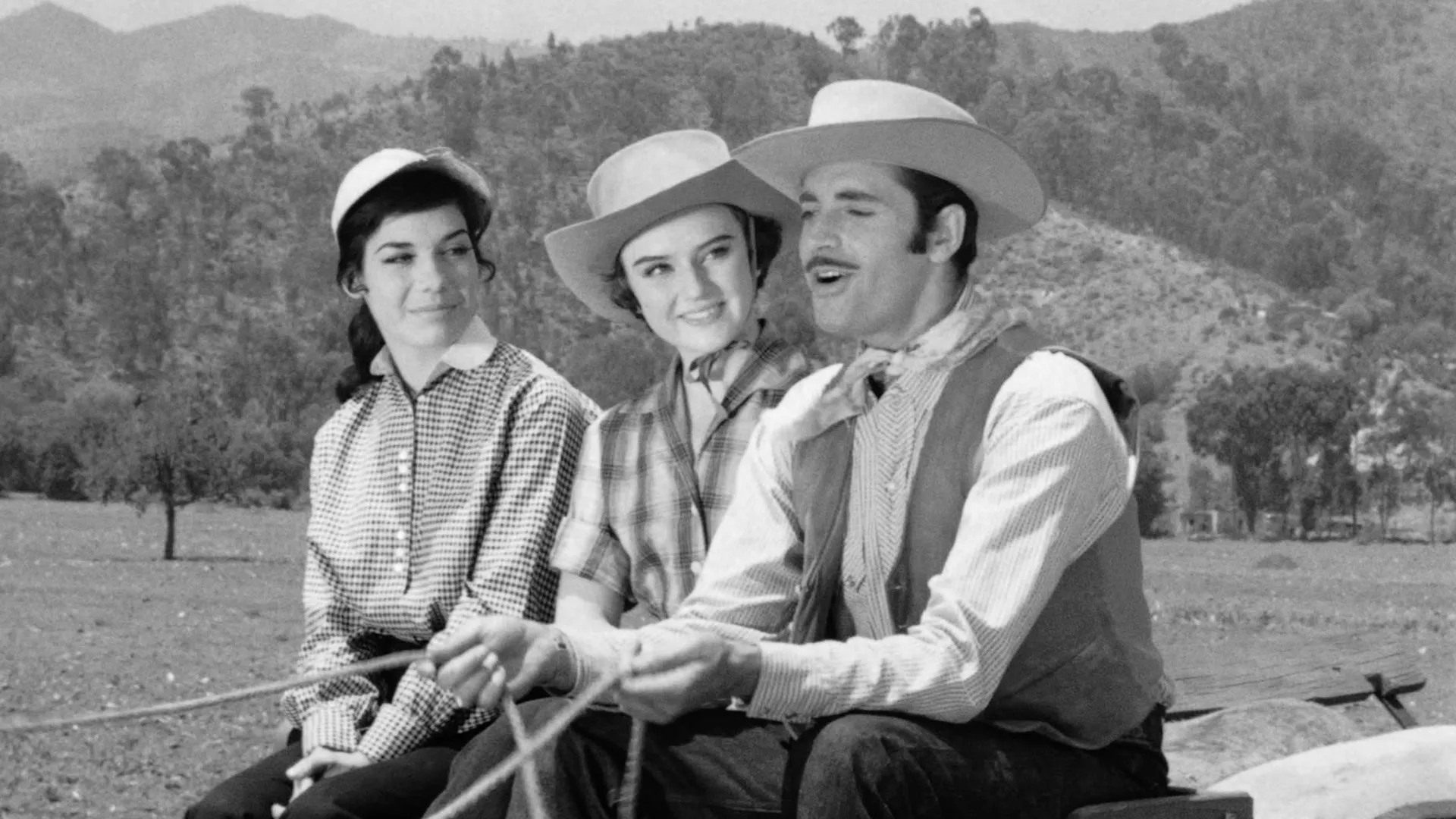 Aventuras Del Látigo Negro: La Marca del Gavilán