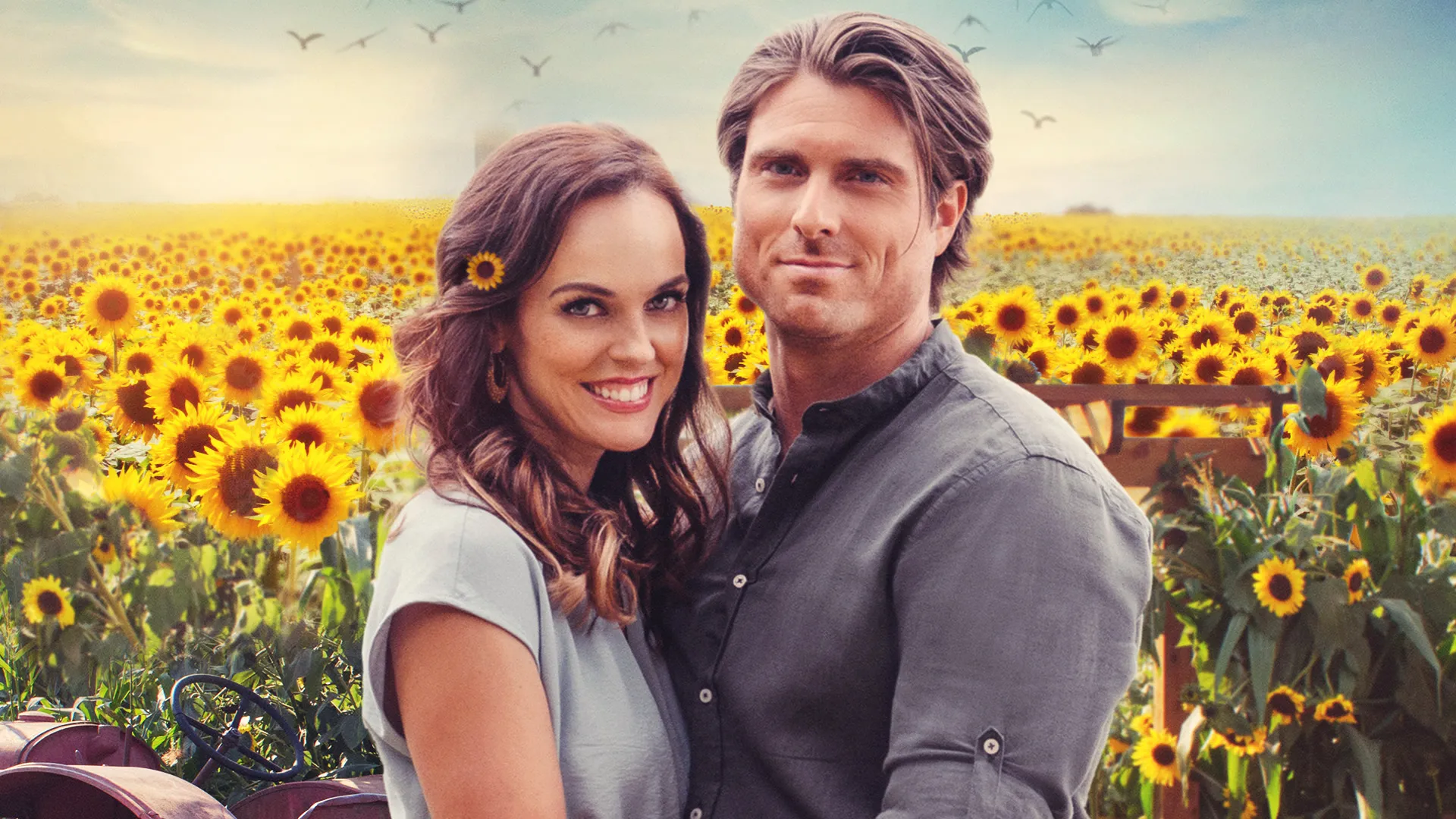 Love Stories in Sunflower Valley