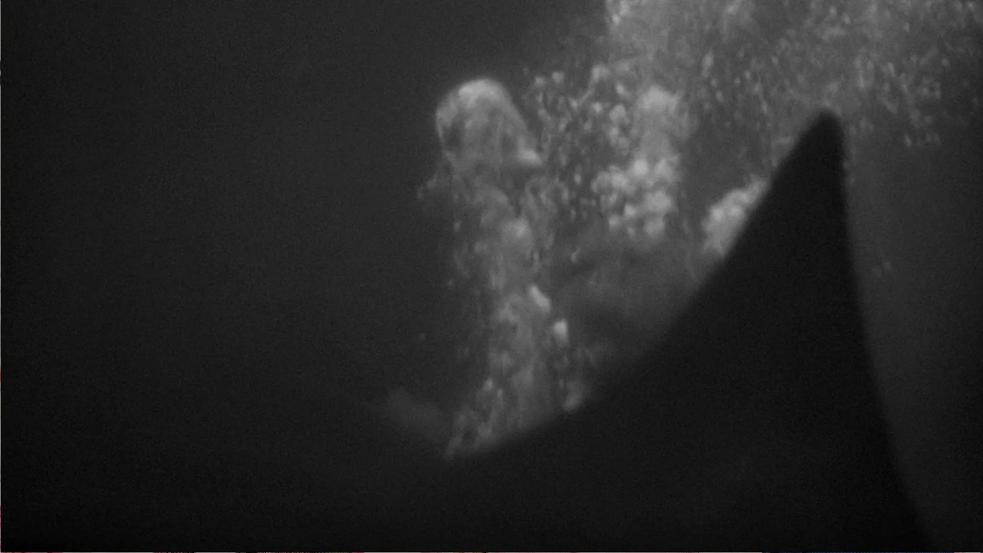 Creature From The Haunted Sea (1961)