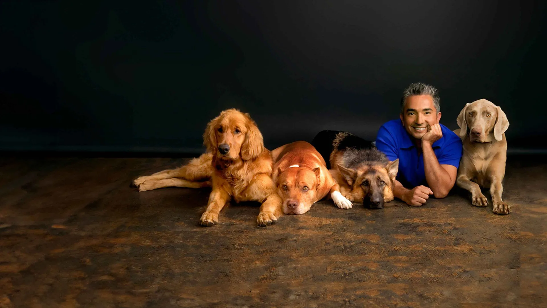 Dog Whisperer with Cesar Millan