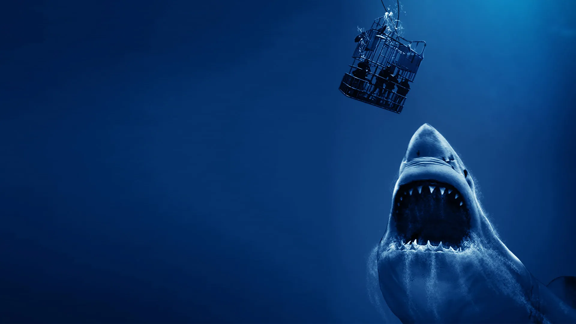 Open Water 3: Cage Dive
