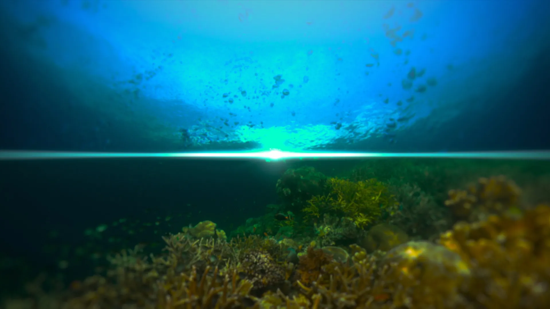 Wildest Places: Pacific