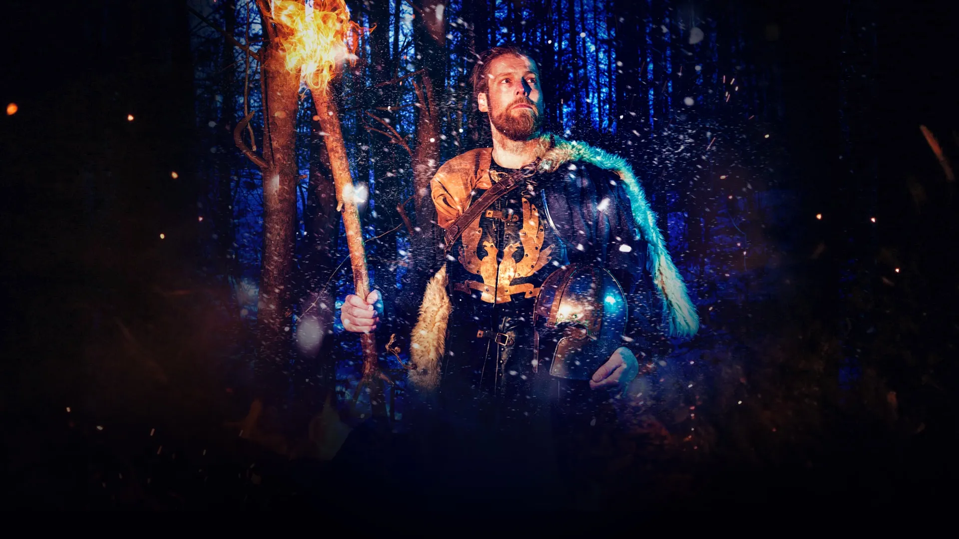 The Vikings