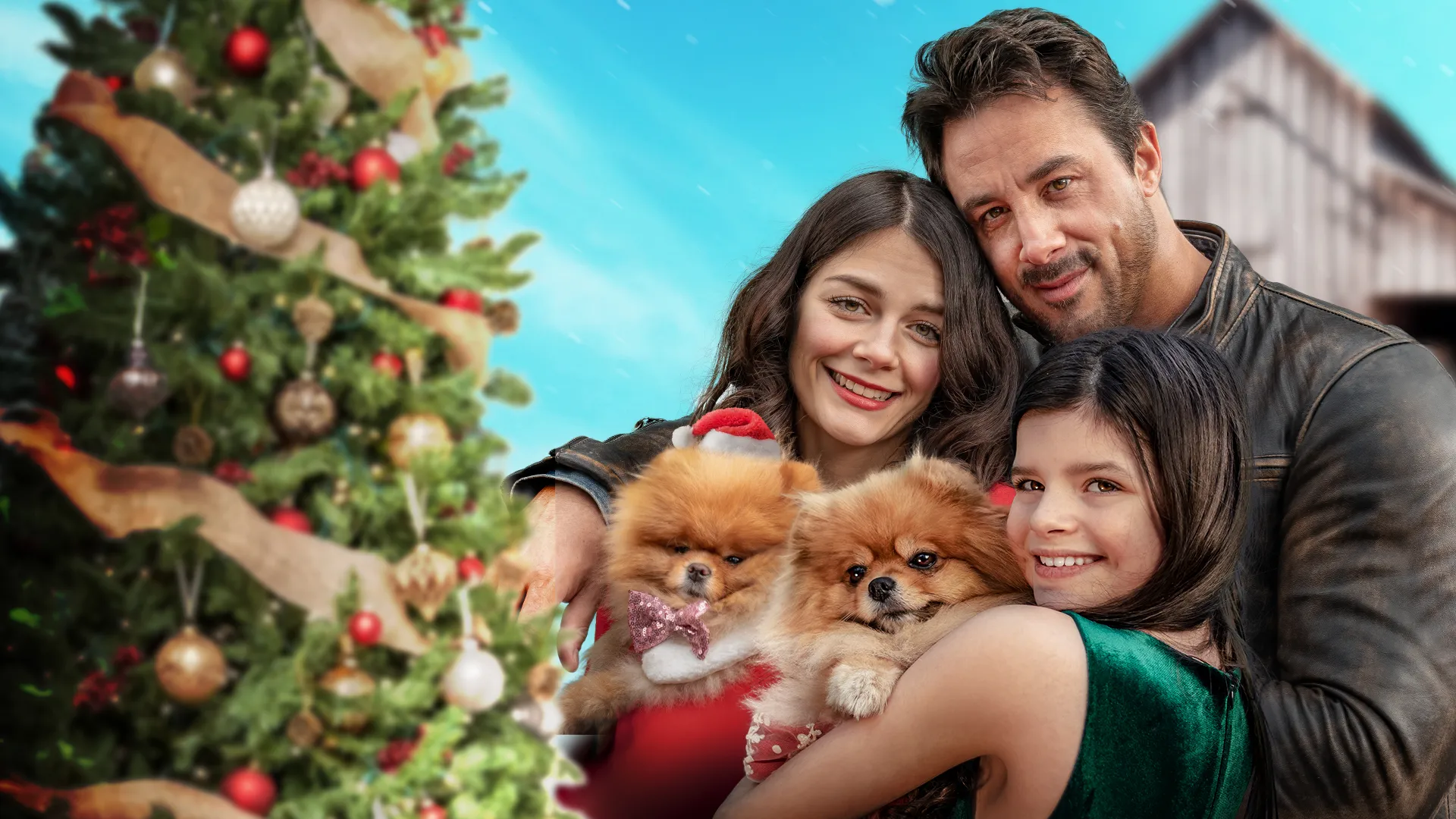 Christmas with the Pups