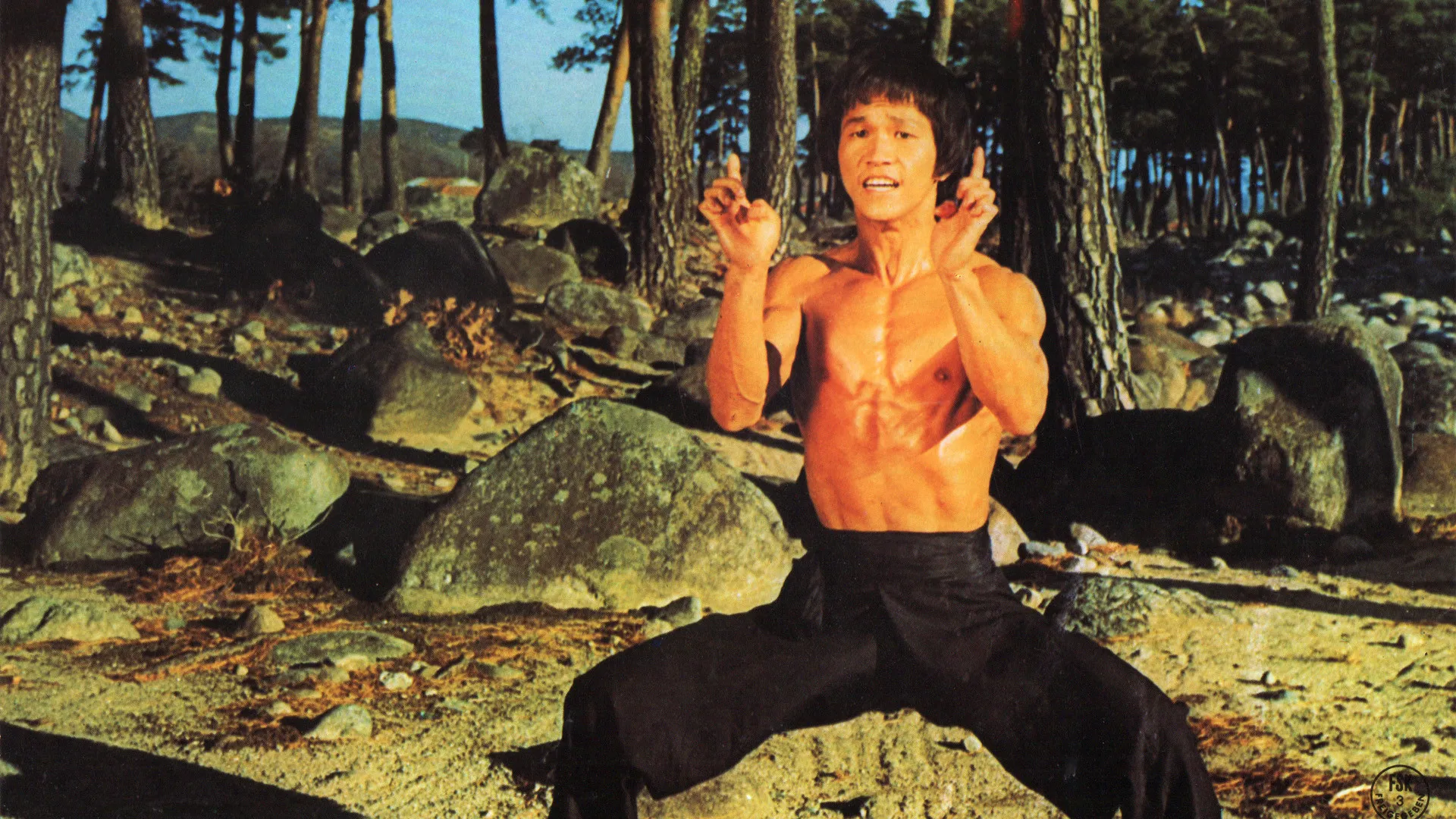 Treasure of Bruce Lee