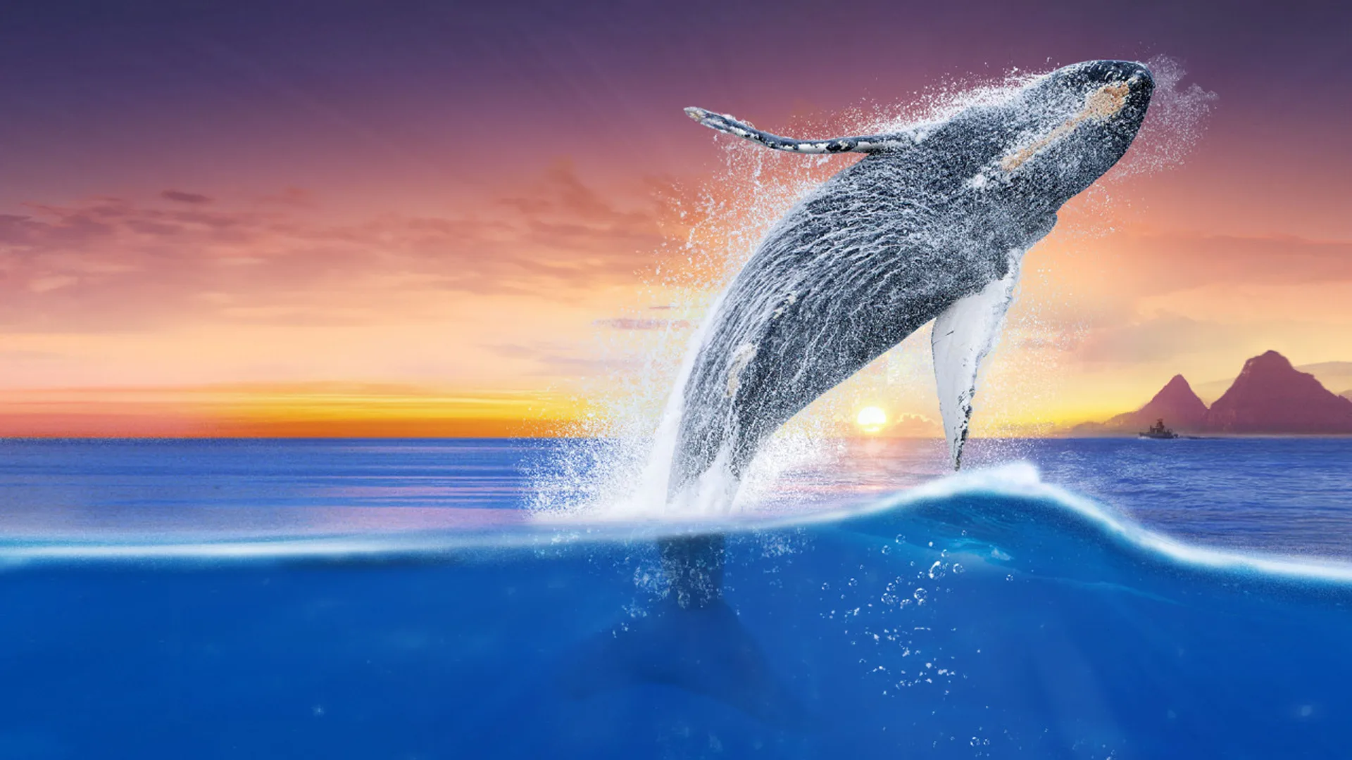 Humpback Whales