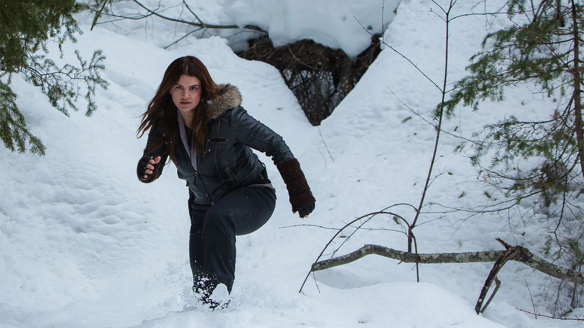 Daughter of the Wolf