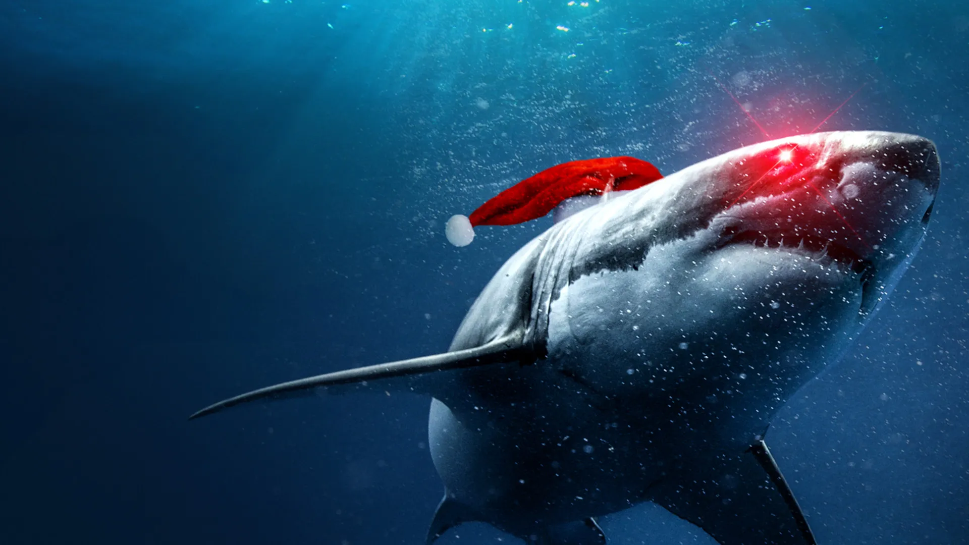 Santa Jaws