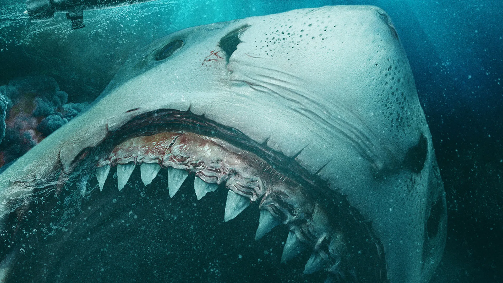 Megalodon Rising