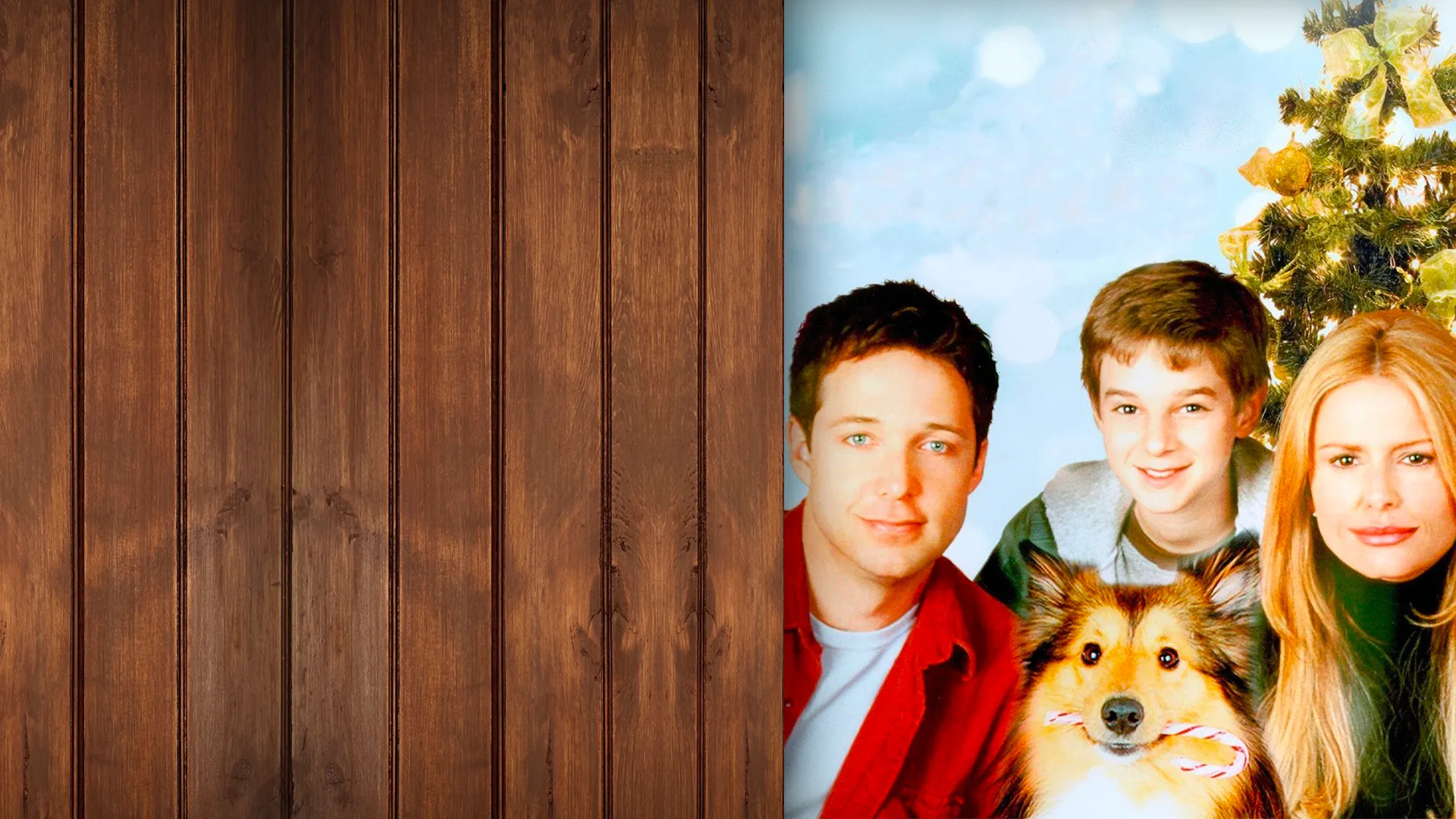 The Sons of Mistletoe