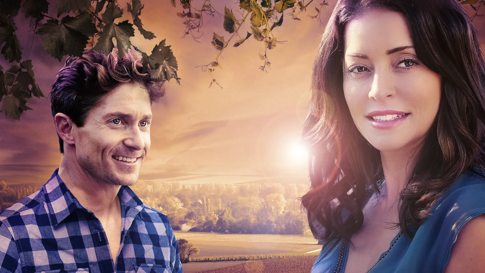 Love in the Vineyard