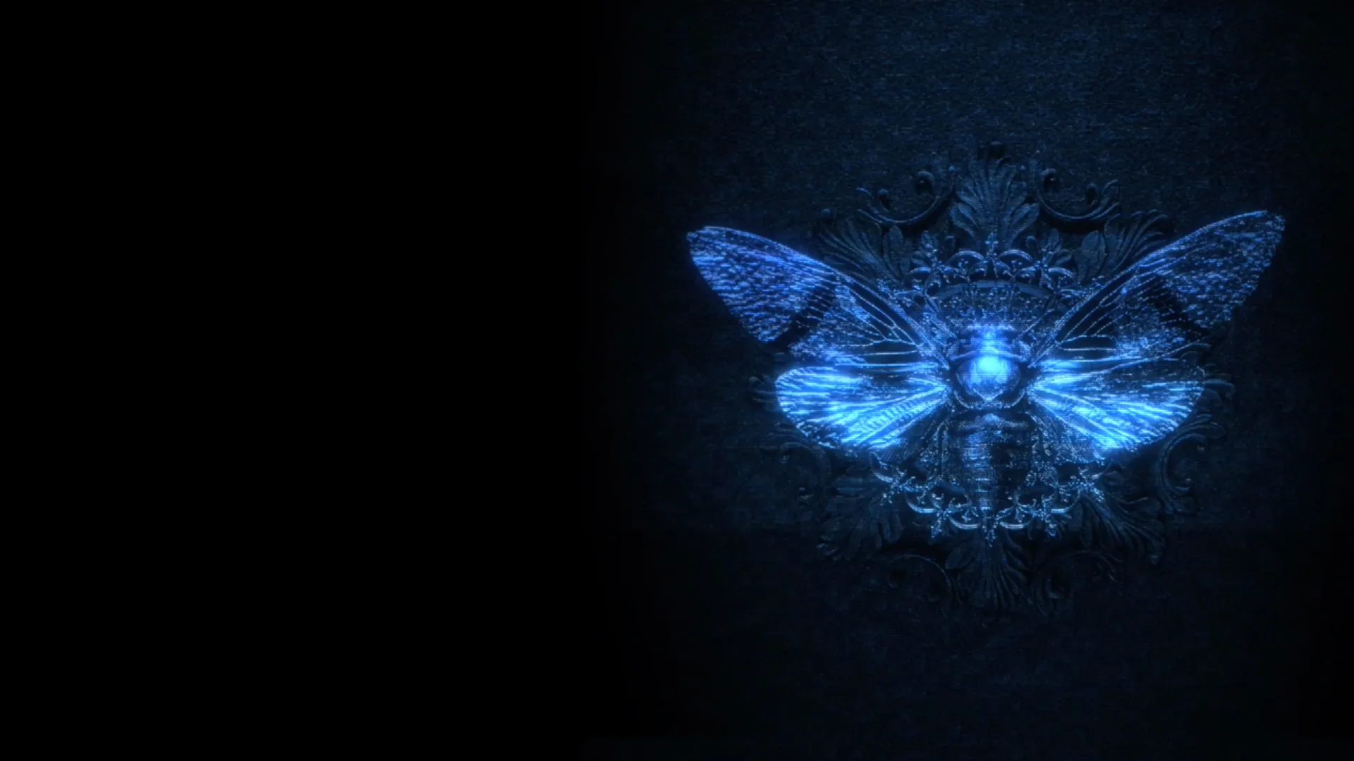 Dark Web: Cicada 3301