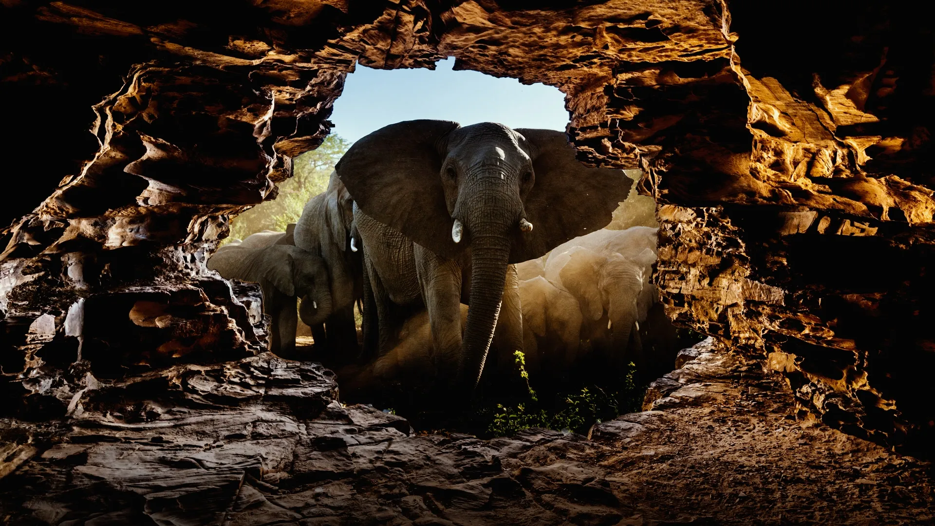 Bucket List Africa