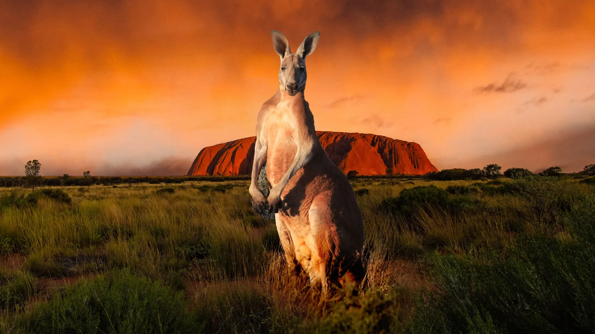 Bucket List Australia