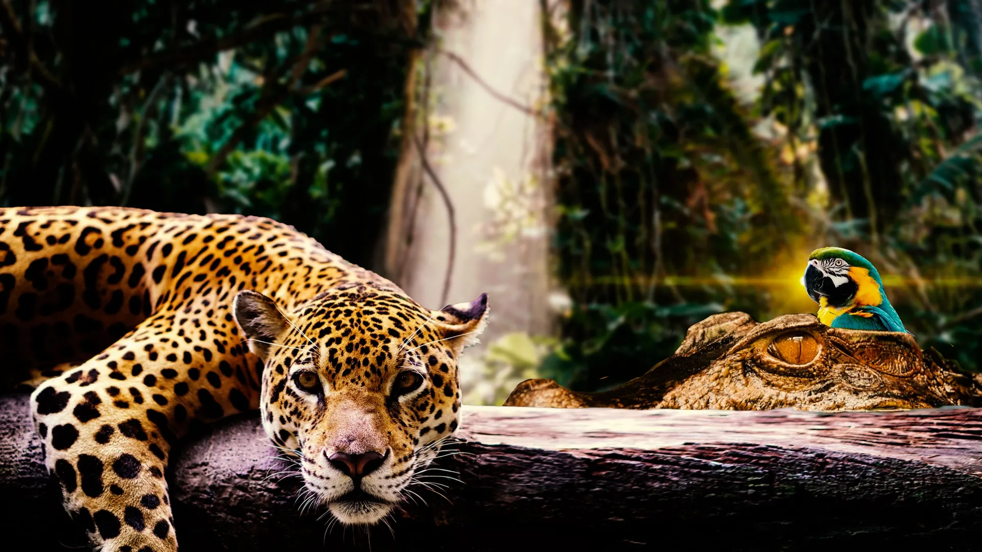 Bucket List South America