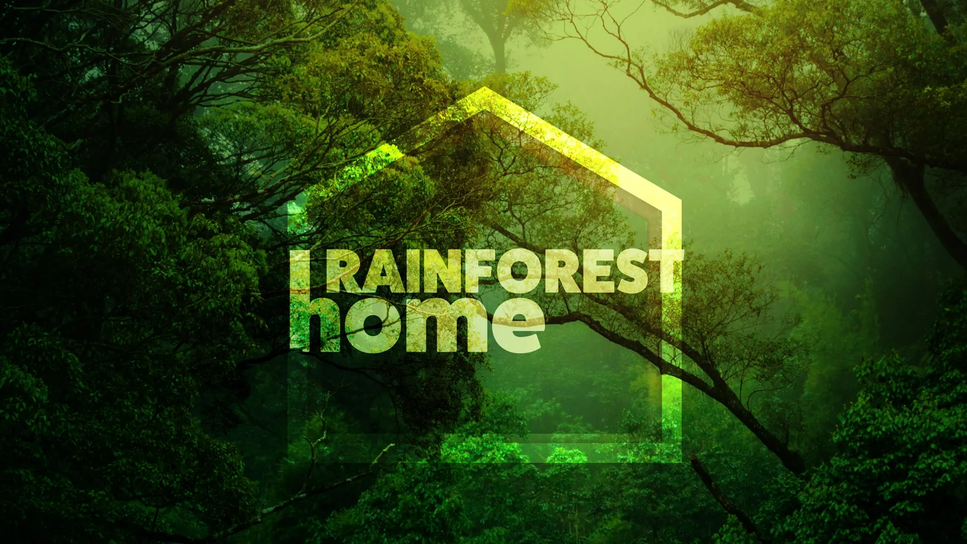 Rainforest Home