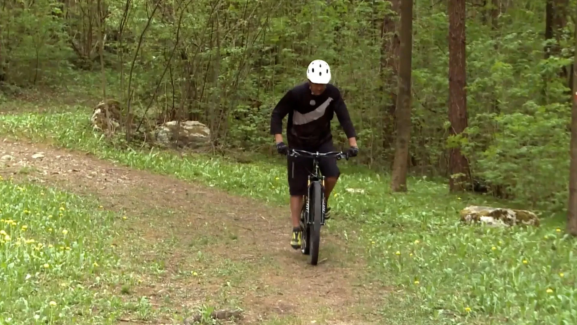 School of MTB